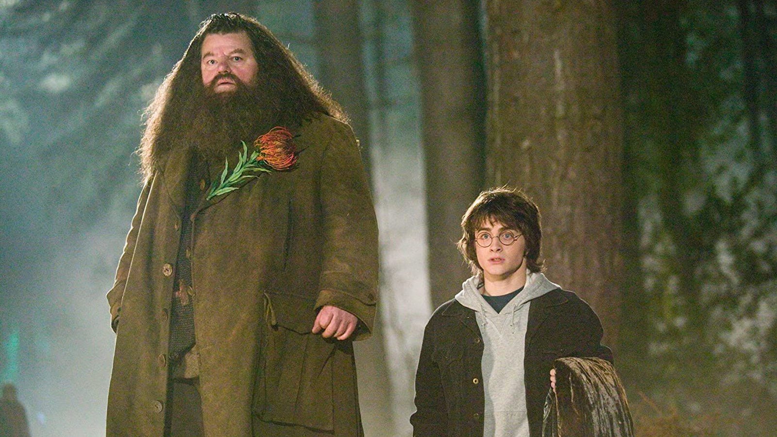 15 Best Halloween Costumes for Guys With Beards